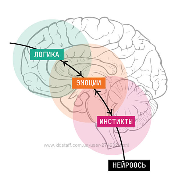 Новая орбита Обновленный нейрокоучинг для достижения целей Ленгольд 