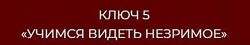  13 ключей к силе. Ключ 5 Учимся видеть незримое Владислав Череватый