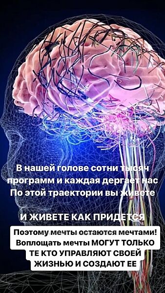 Формирование нейронных связей Светлана Миронюк