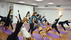 Принципы Движения плюс  Пилатес Polestar Pilates Mat 1-3. Три модуля 