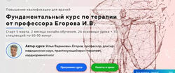 Фундаментальный курс по терапии Полный курс Илья Егоров