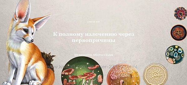 К полному выздоровлению через первопричины Алисья Янг