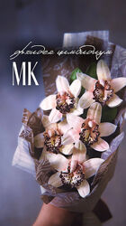  Орхидея Цимбидиум Анастасия Птица