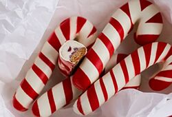 Кондитерский онлайн-лагерь Новогодний сезон 2025 Елена Скрыган Coupdecoeur